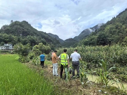 中国大地保险：立足主业，保障农业灾后复产 (2)